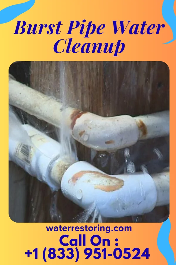 Burst Pipe Water Cleanup in Minster, OH