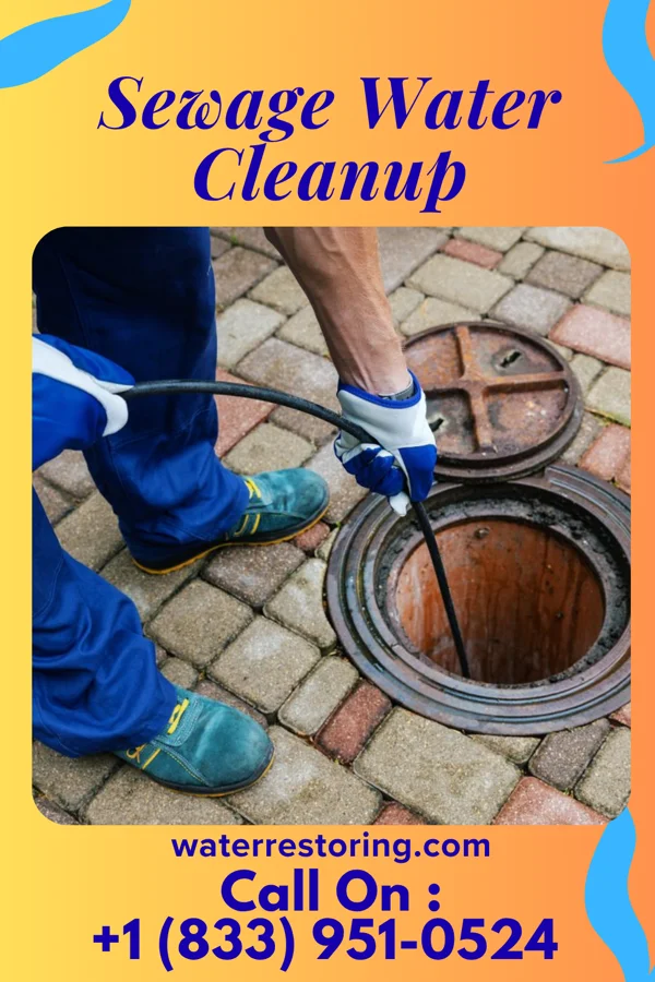 Sewage Water Cleanup in Minster, OH